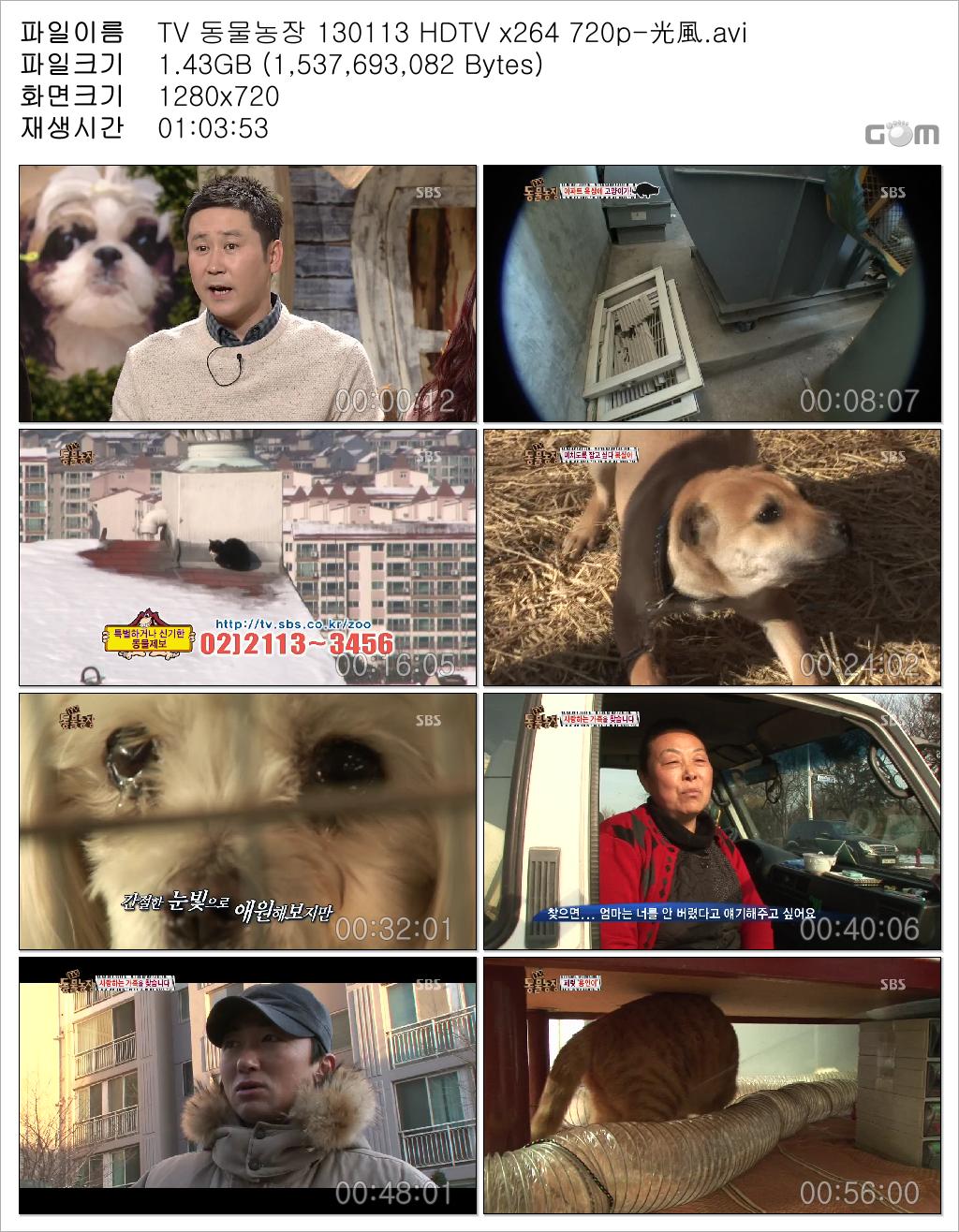 TV 동물농장 130113 HDTV x264 720p-光風.avi.jpg