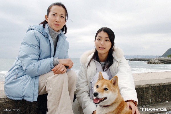 君が光をくれた　子供たちが教えてくれた～少女と捨て犬の“命”の再出発物語.jpg.jpg
