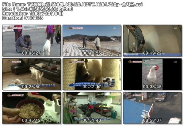 TV동물농장.599회.130120.HDTV.H264.720p-송지은.avi.jpg