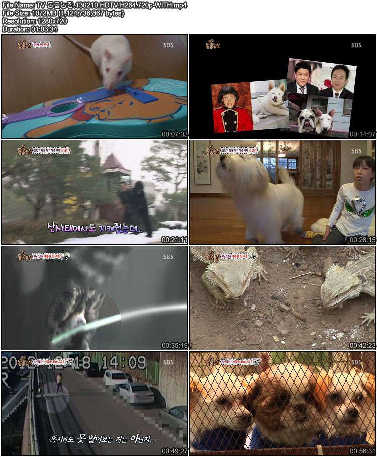 TV 동물농장.130210.HDTV.H264.720p-WITH.mp4.JPG