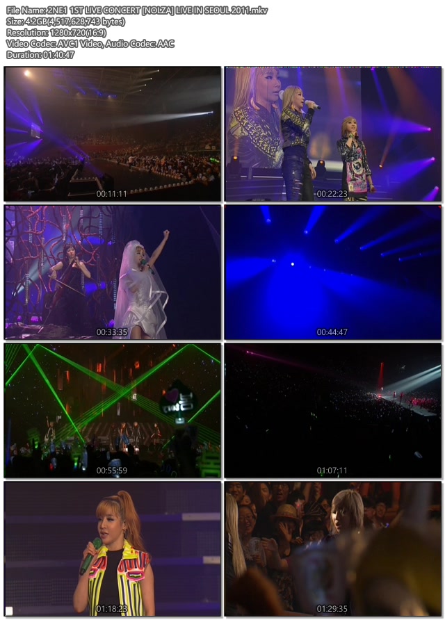2NE1 1ST LIVE CONCERT [NOLZA] LIVE IN SEOUL 2011.mkv.jpg