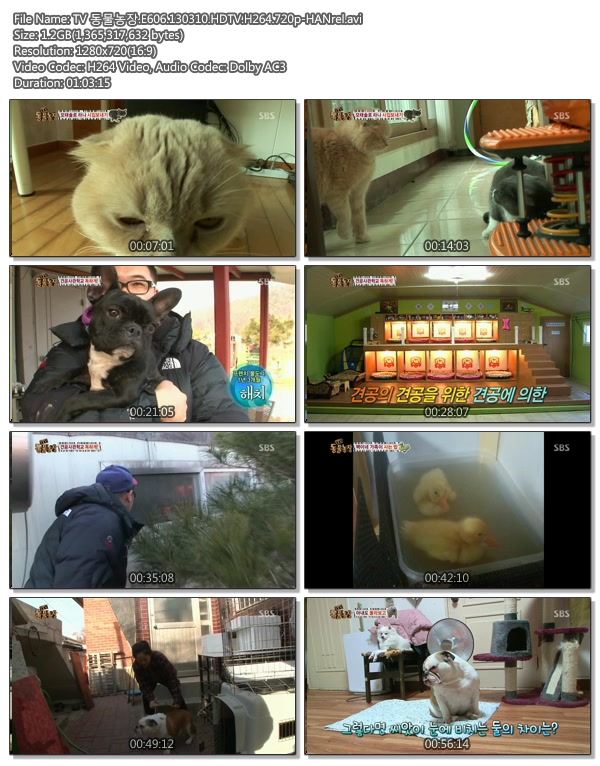 TV 동물농장.E606.130310.HDTV.H264.720p-HANrel.avi.jpg