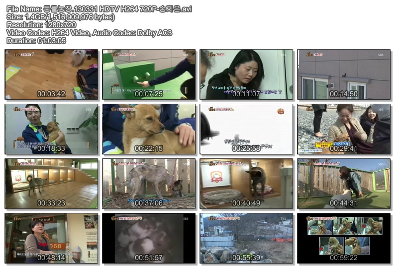 동물농장.130331 HDTV H264 720P-송지은.avi.jpg