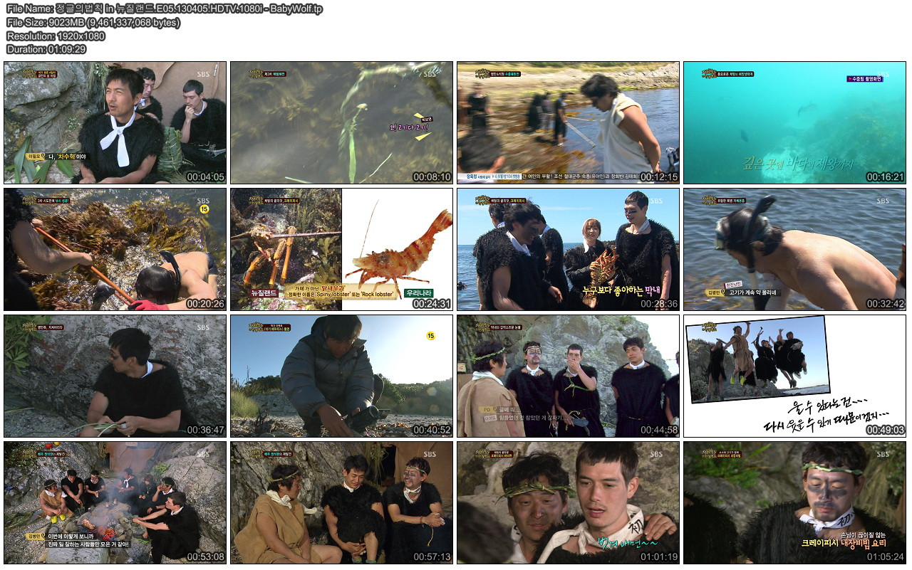 정글의법칙 in 뉴질랜드.E05.130405.HDTV.1080i - BabyWolf.tp.jpg