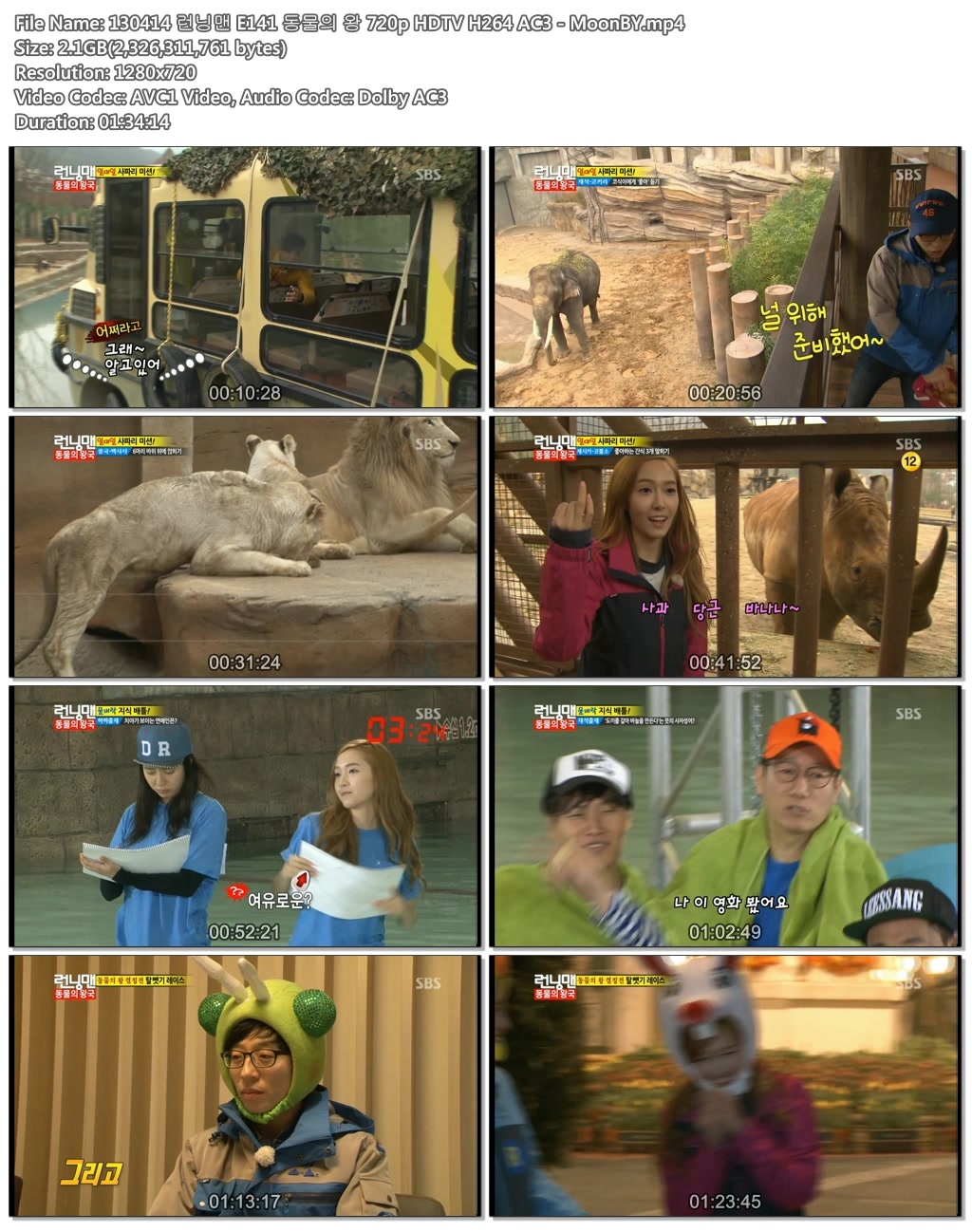 130414 런닝맨 E141 동물의 왕 720p HDTV H264 AC3 - MoonBY.mp4.jpg
