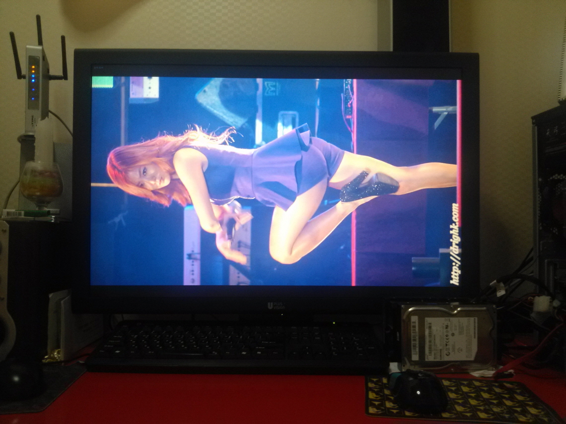 [직캠] 130427 씨스타SISTAR - (소유) [김포] by drighk.jpg