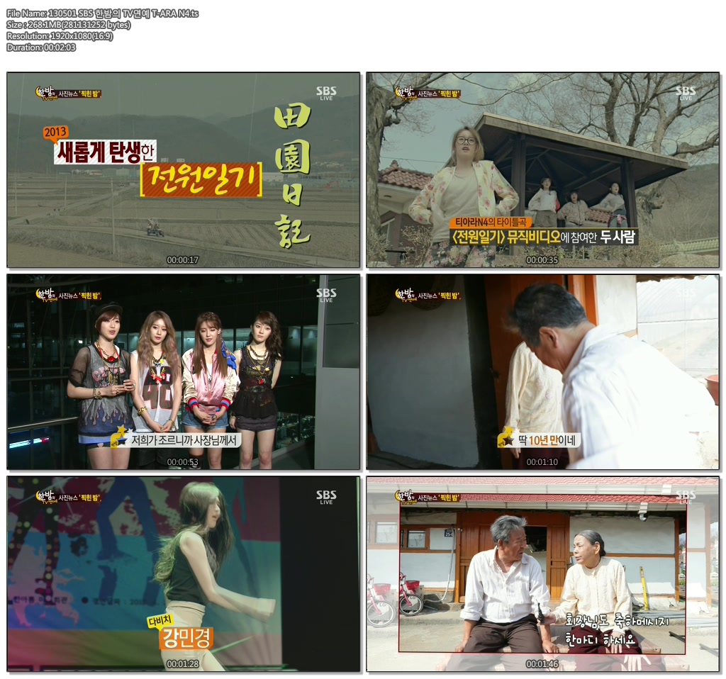 130501_SBS_한밤의_TV연예_T_ARA_N4.jpg