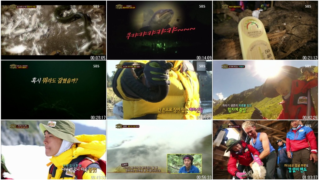 정글의 법칙 in 뉴질랜드.E59.130503.HDTV.X264.720p-Baros.avi.jpg