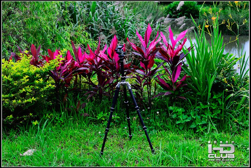 nikon-4006.jpg