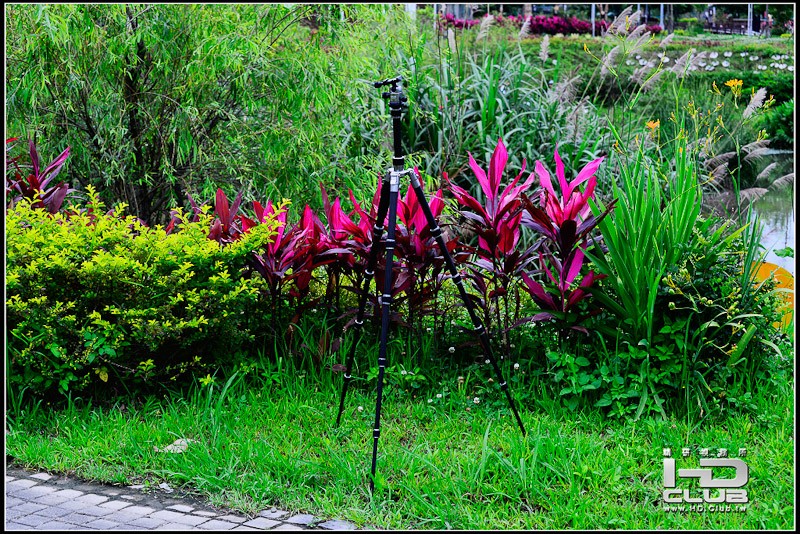 nikon-4008.jpg