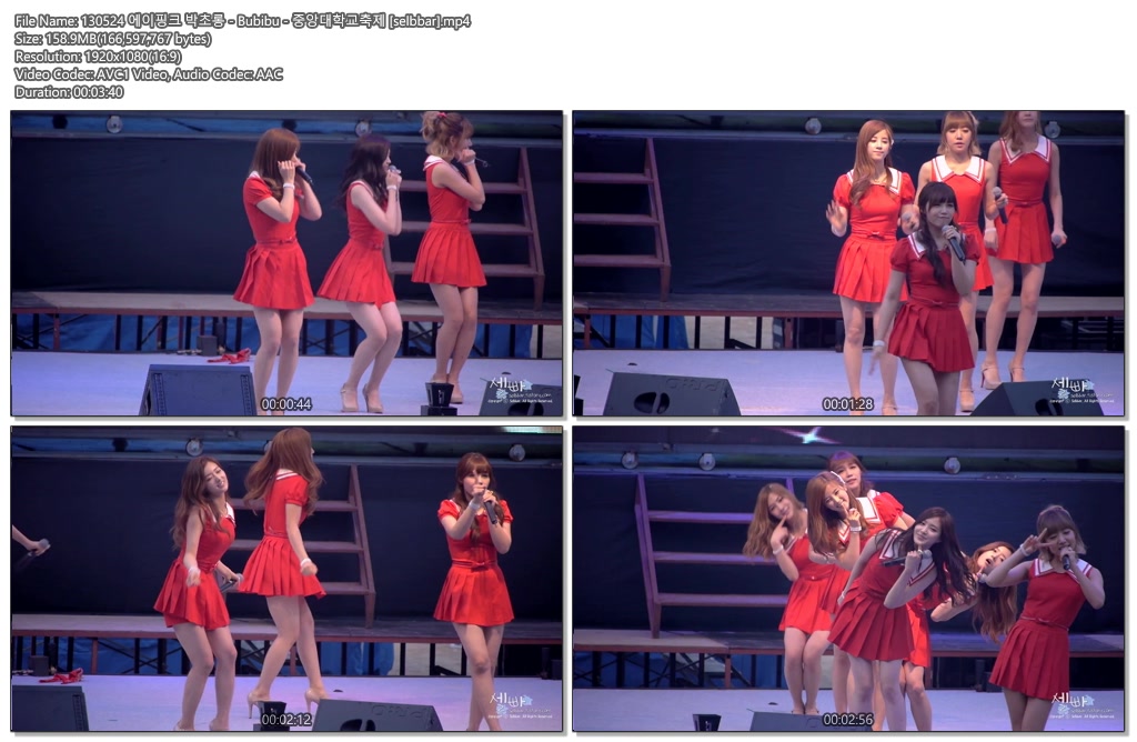 130524 에이핑크 @중앙대 by selbbar02.jpg