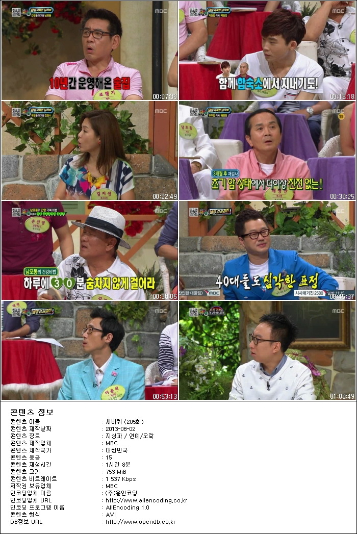 세바퀴.E205.130601.HDTV.XViD-HANrel.avi.jpg