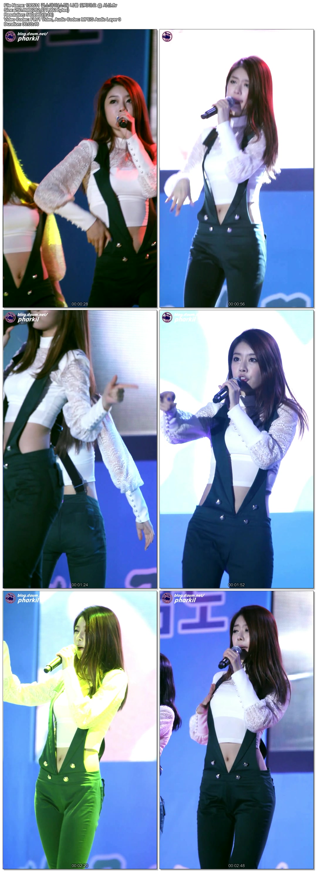 130531 걸스데이 충청남도 장애인 체육대회 개막 축하공연 by pharkil03.jpg.jpg