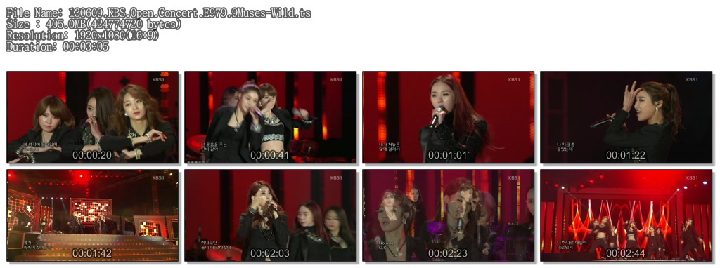 130609.KBS.Open.Concert.E979.9Muses-Wild.ts.jpg