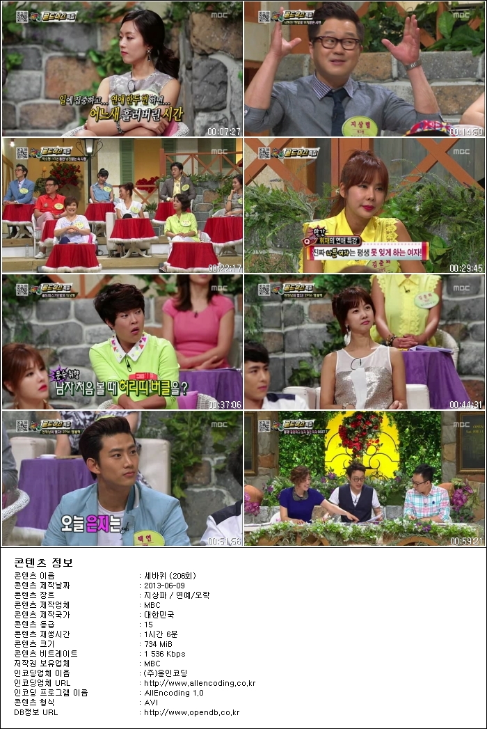 세바퀴.E206.130608.HDTV.XViD-HANrel.avi.jpg