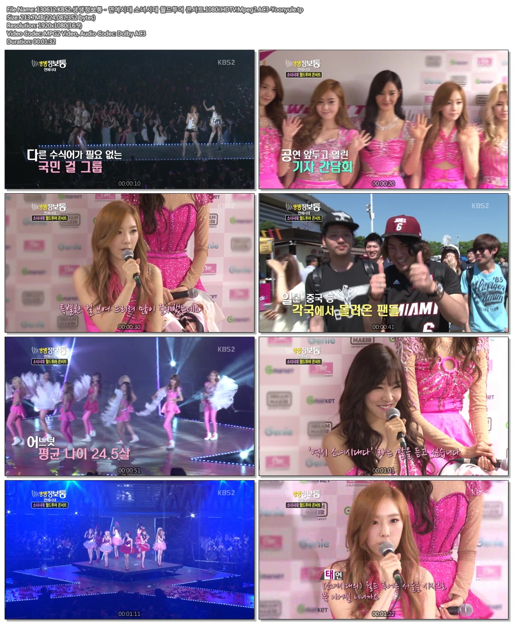 130612.KBS2.생생정보통 - 연예시대 소녀시대 월드투어 콘서트.1080i.HDTV.Mpeg2.AC3-.jpg