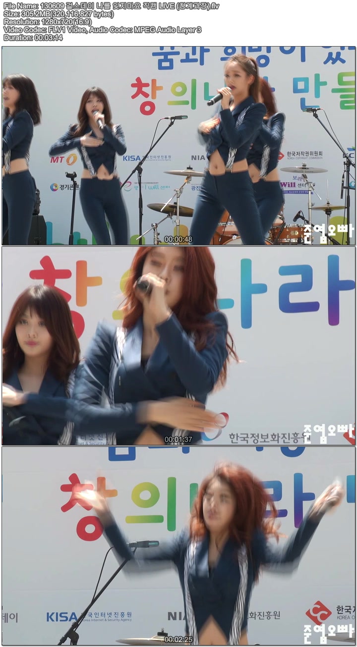 130609 걸스데이 기대해 직캠 LIVE (청계광장) by 준엽오빠02.jpg