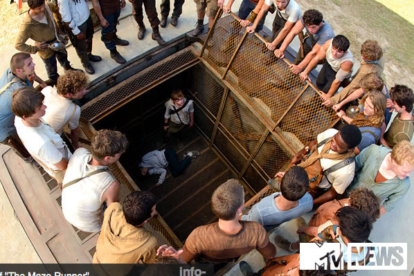the-maze-runner-movie-3.jpg