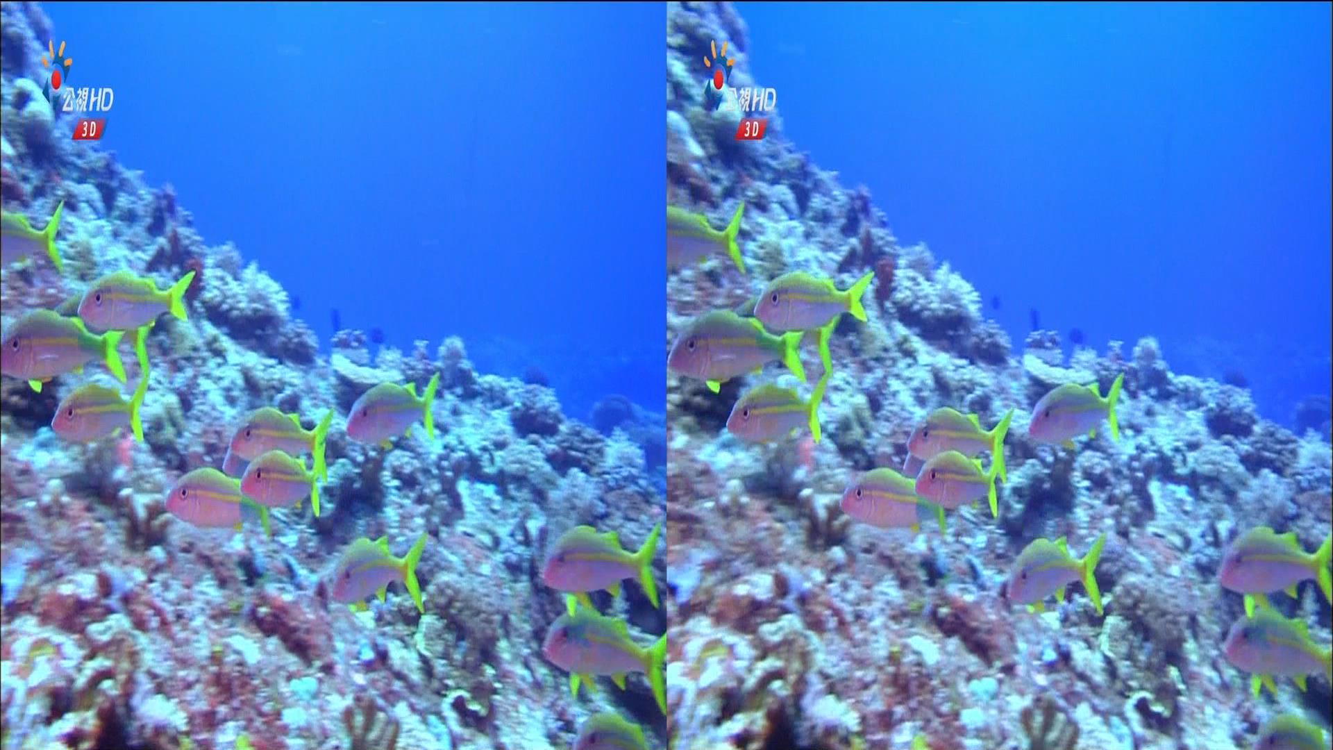 20130707_0029_CH12_公視 HD_3D台灣 Part 1.ts_snapshot_06.06_[2013.07.07_15.48.27].jpg