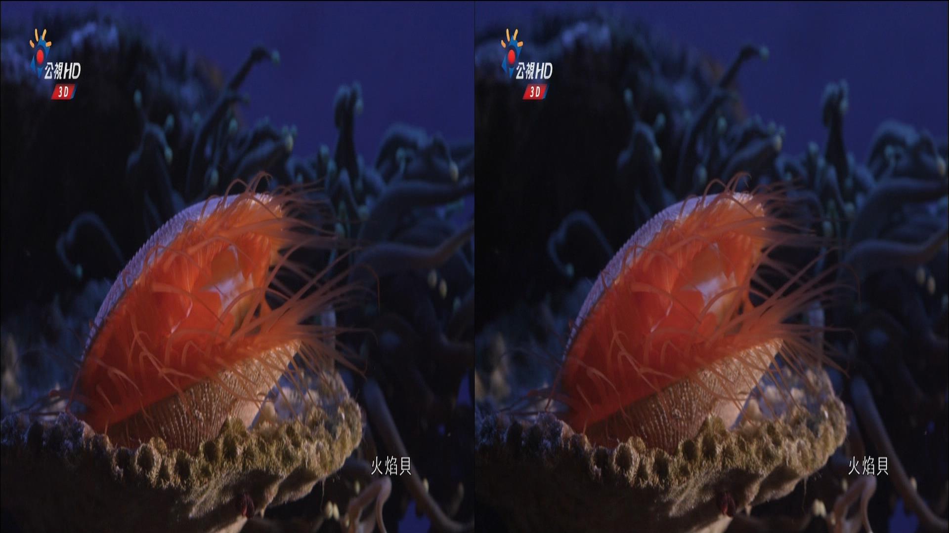 20130707_0029_CH12_公視 HD_3D台灣 Part 1.ts_snapshot_16.20_[2013.07.07_15.49.05].jpg