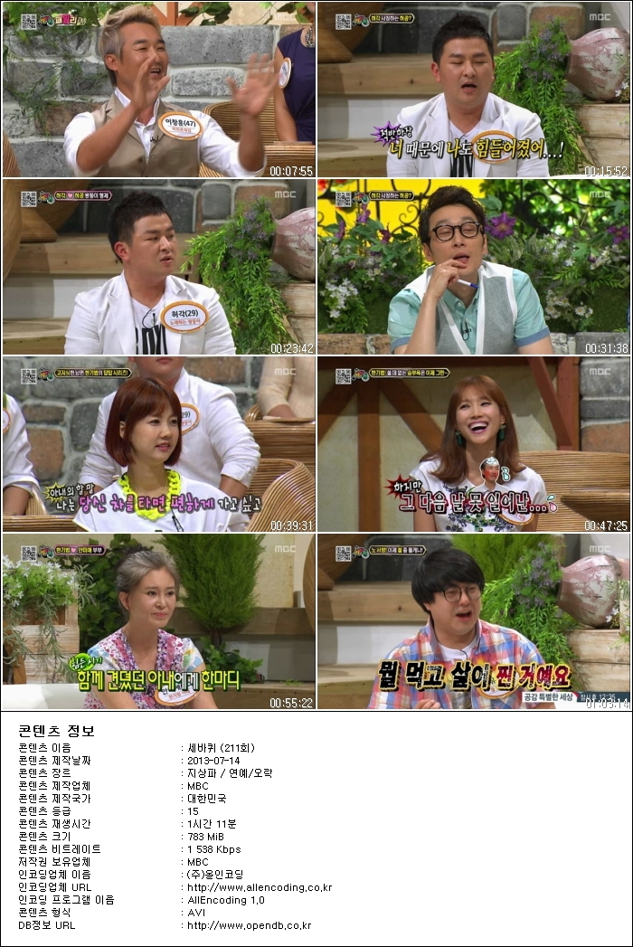 세바퀴.E211.130713.HDTV.XViD-HANrel.avi.jpg