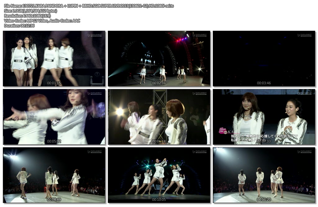 130721.KARA.PANDORA + LUPIN + BBHD.SGC SUPER LIVE 2013(130601-02).HD.1080i-rei.ts.jpg