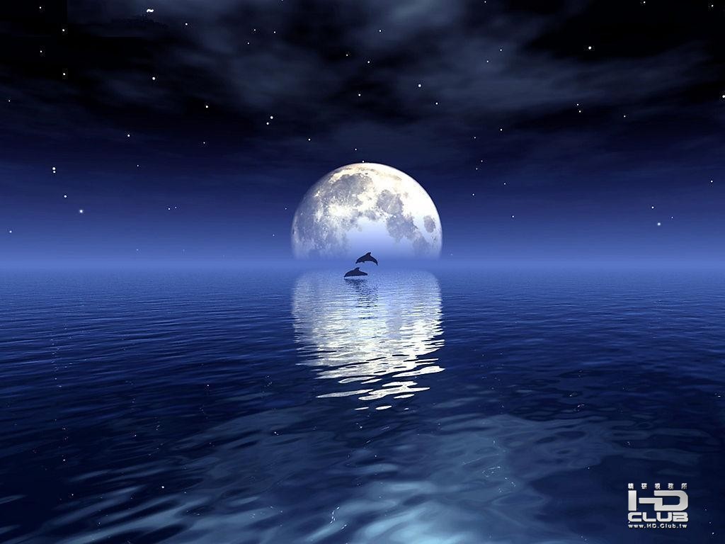 夜海飞豚.jpg