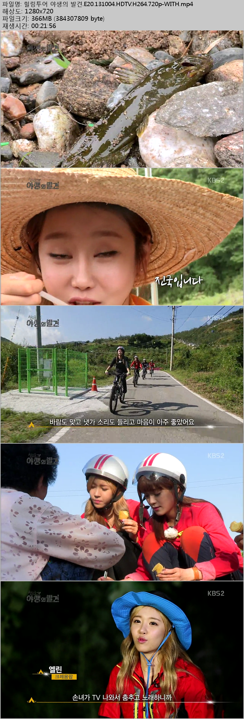 힐링투어 야생의 발견.E20.131004.HDTV.H264.720p-WITH.png