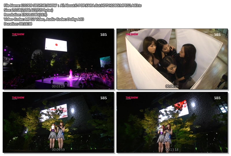 1934791404_noM7psAa_131009_SBS_THE_SHOWA3BAAll_About_K-POP_KARA_Cut_HDTV_1080i_M.jpg