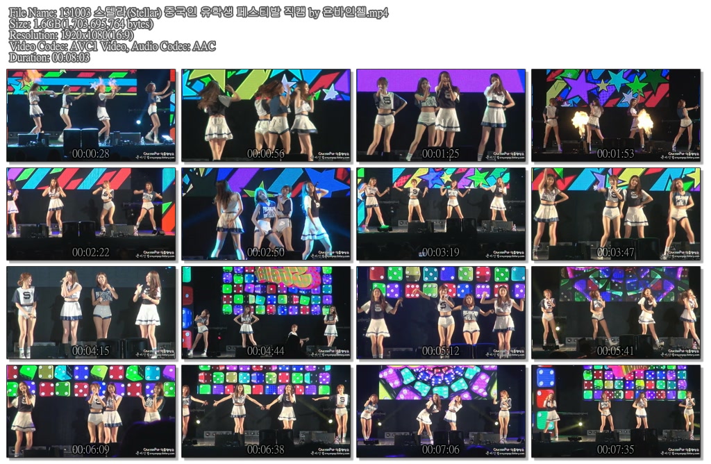 131003 스텔라(Stellar) 중국인 유학생 페스티발 직캠 by 욘바인첼.mp4.jpg