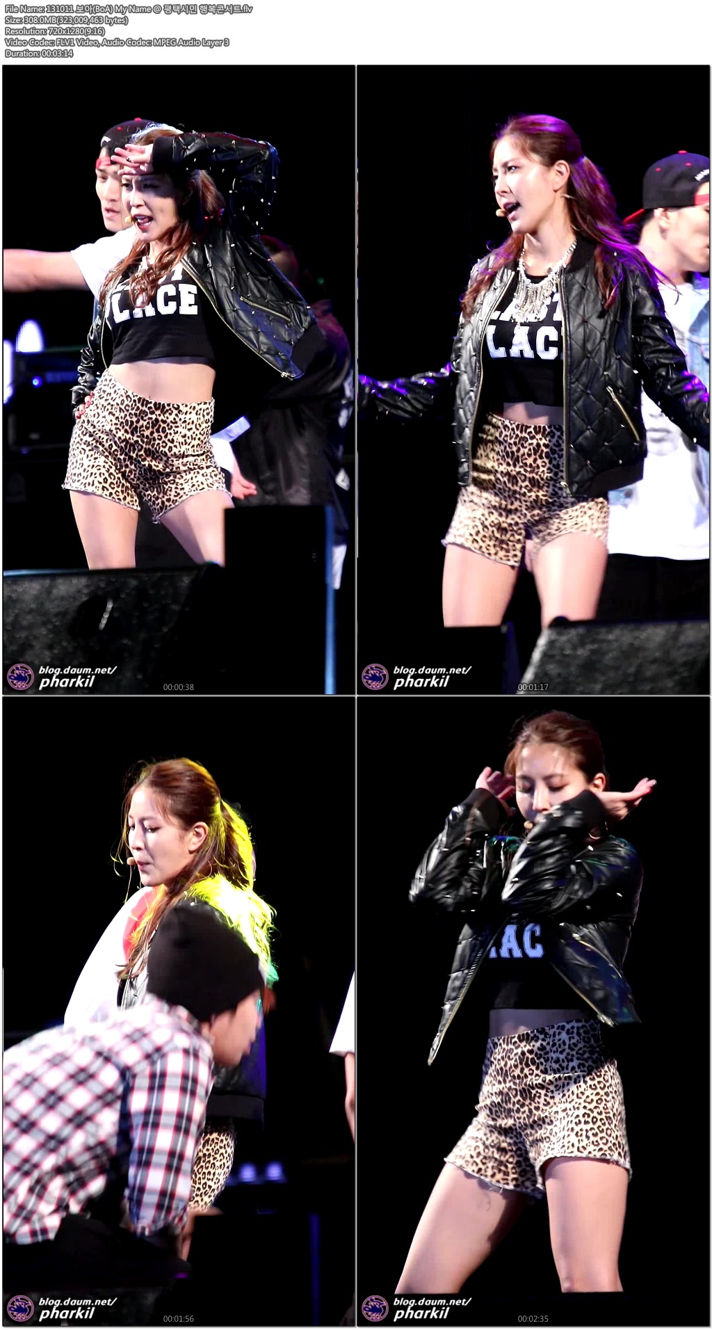 131011 보아(BoA) @ 평택시민 행복콘서트 by pharkil03.jpg