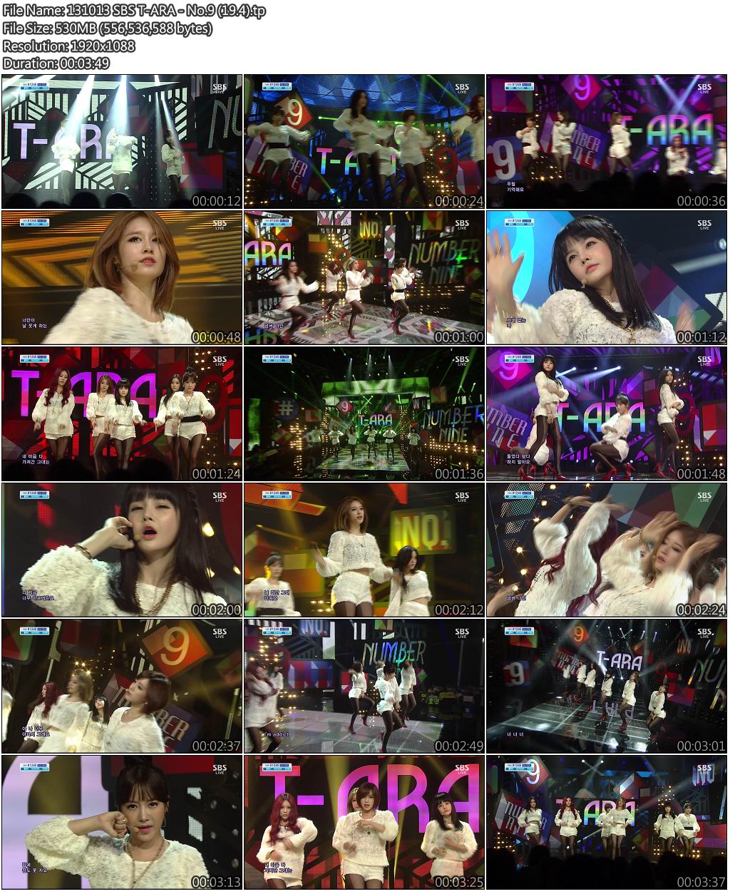 131013 SBS T-ARA - No.9 (19.4).jpg