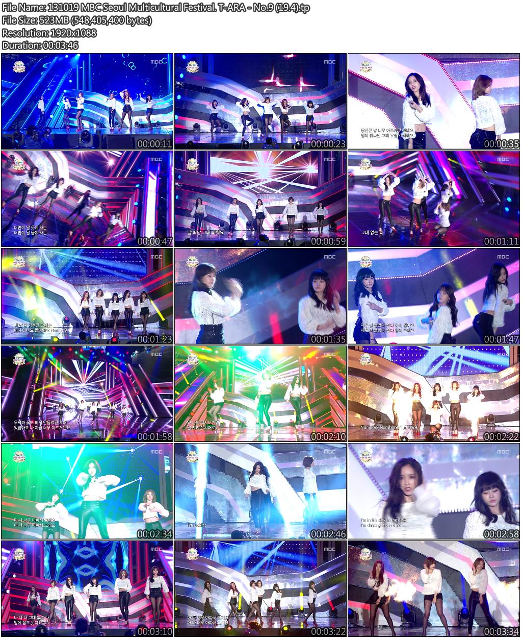 131019 MBC Seoul Multicultural Festival. T-ARA - No.9 (19.4).jpg