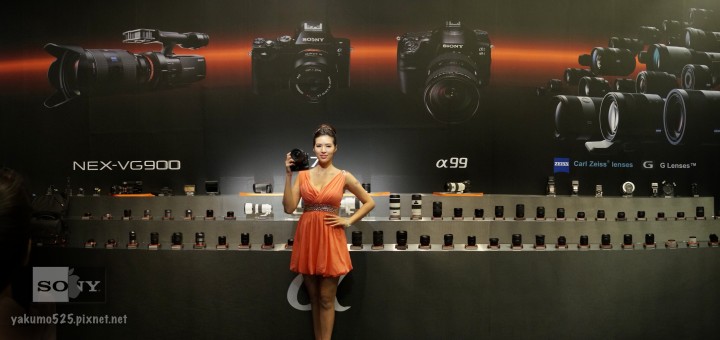 Blog_2013-new-alpha-E03.jpg