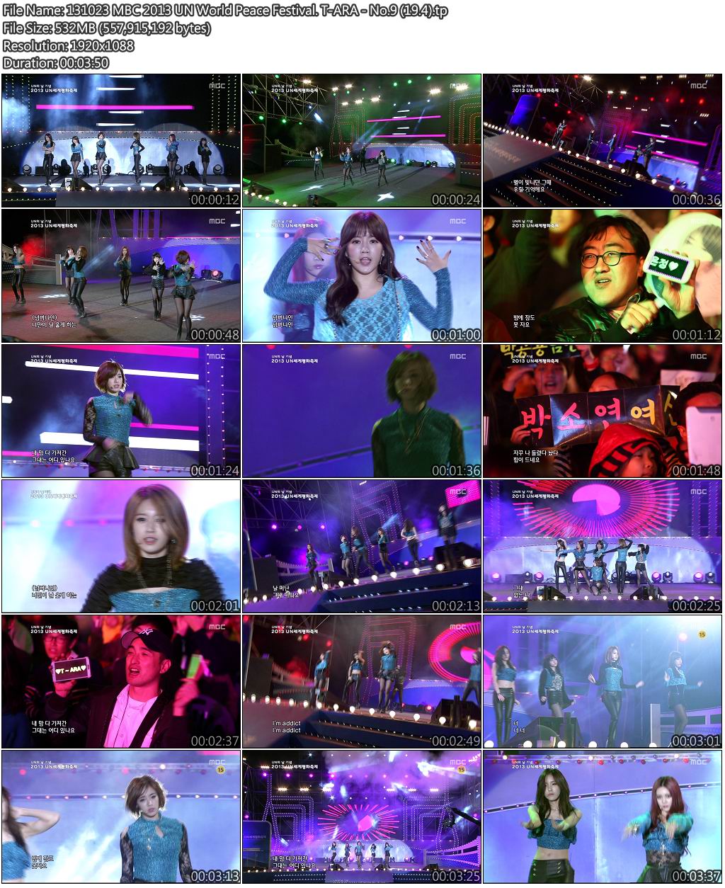 131023 MBC 2013 UN World Peace Festival. T-ARA - No.9 (19.4).jpg