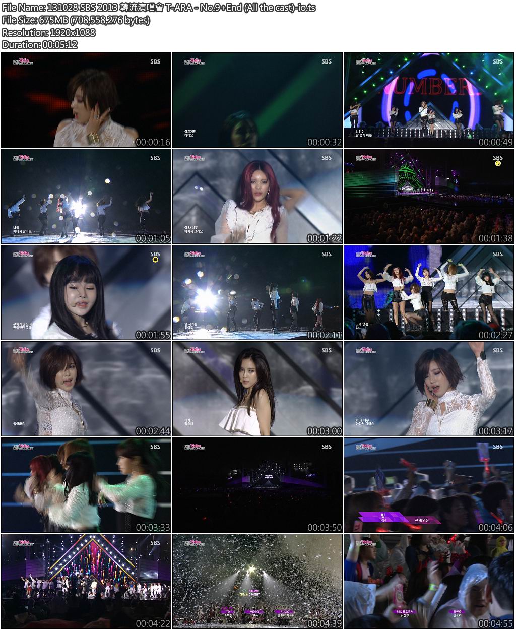 131028 SBS 2013 韓流演唱會 T-ARA - No.9 End (All the cast)-io.jpg