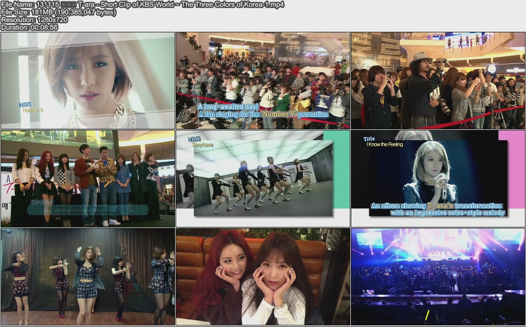 131115 T-ara - Short Clip of KBS World ~ The Three Colors of Korea-1.jpg