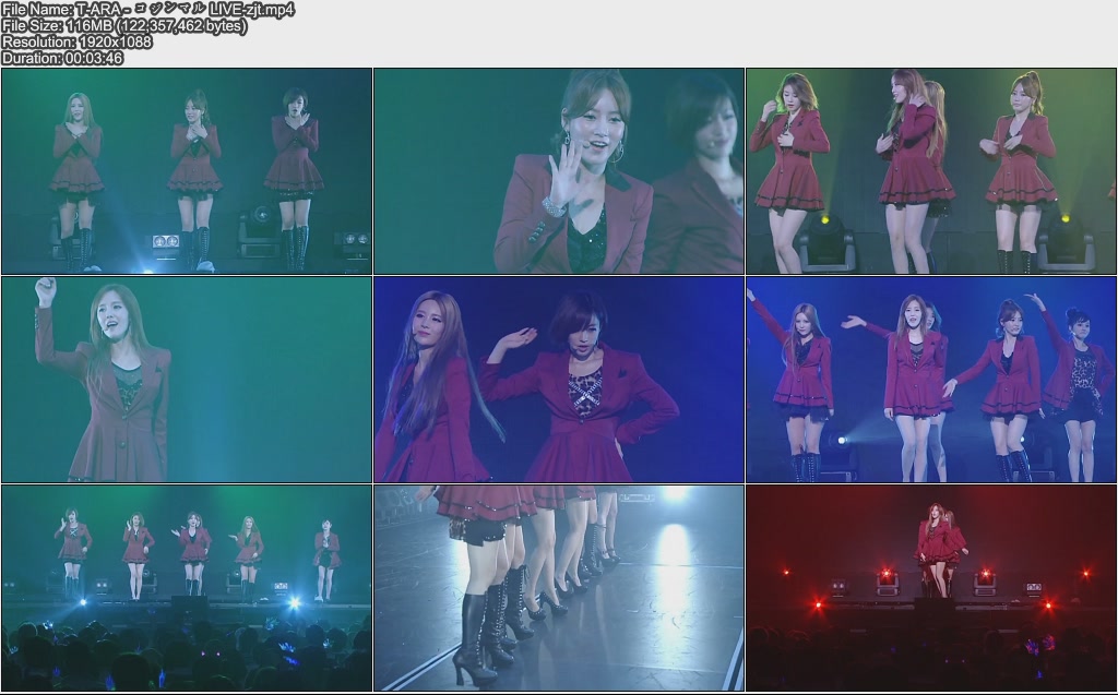 T-ARA - コジンマル LIVE-zjt.jpg