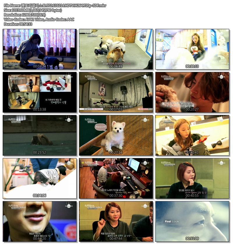 펫토리얼리스트.E02.131214.HDTV.H264.720p-SDF.mkv.jpg