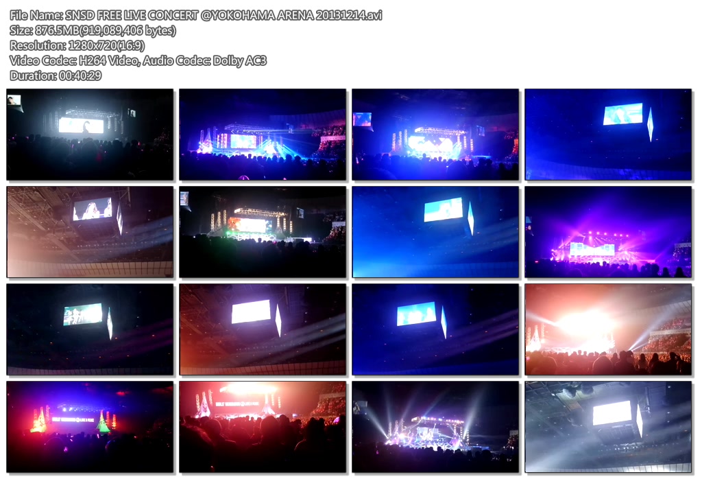SNSD FREE LIVE CONCERT @YOKOHAMA ARENA 20131214.avi.jpg