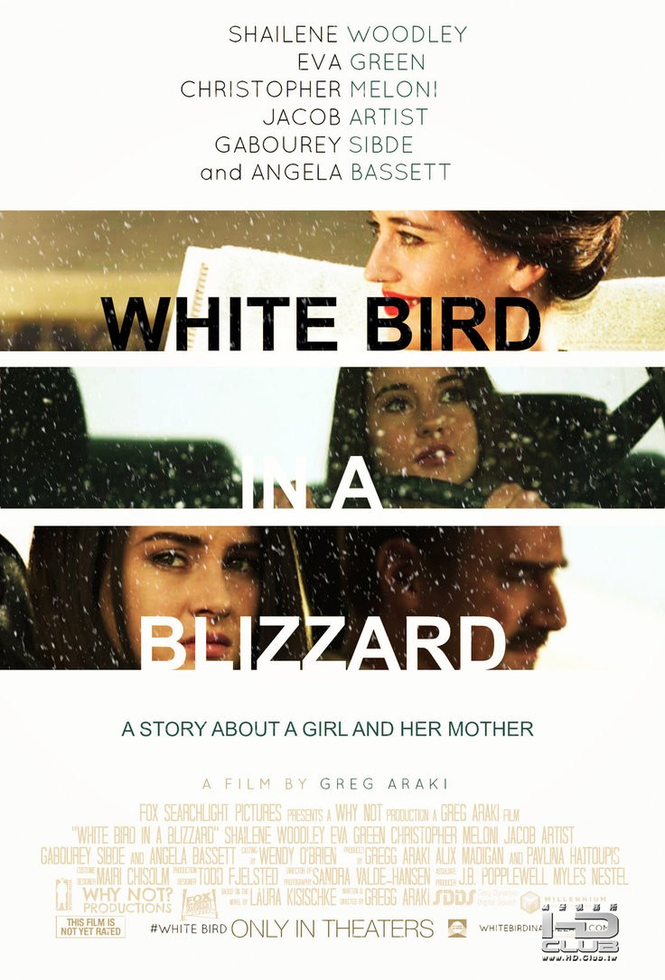 936full-white-bird-in-a-blizzard-poster.jpg