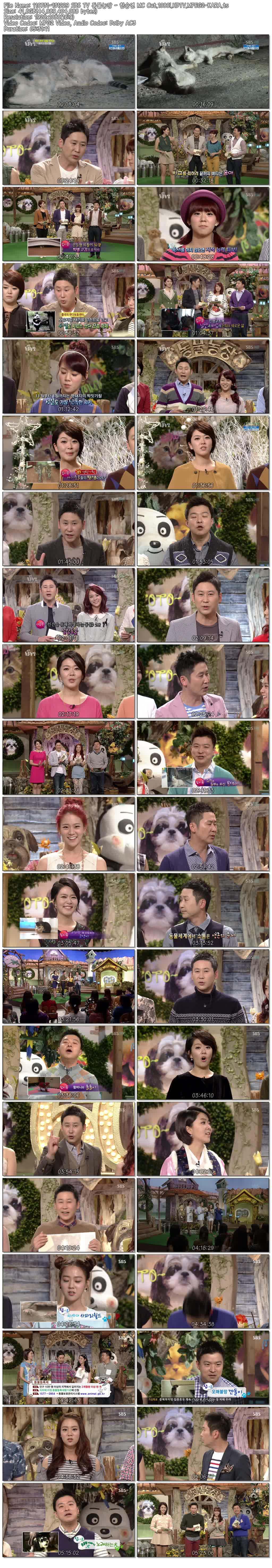 110731~131229 SBS TV 동물농장 - 한승연 MC Cut.1080i.HDTV.MPEG2-KARA.ts.jpg