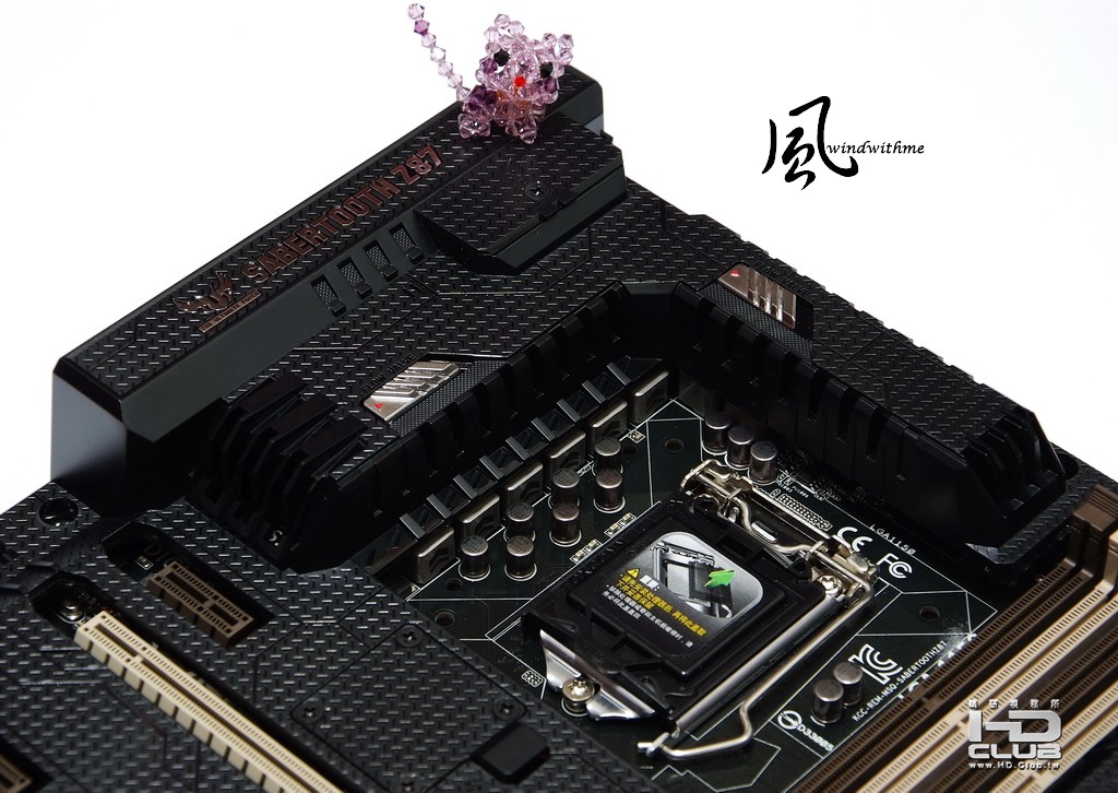 ASZ8710.jpg