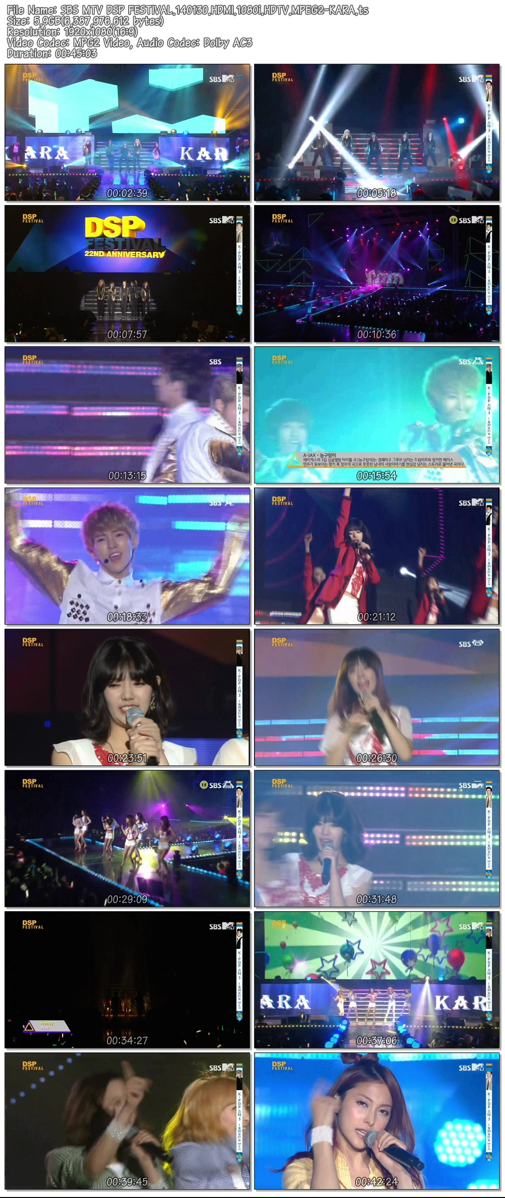 SBS MTV DSP FESTIVAL.140130.HDMI.1080i.HDTV.MPEG2-KARA.ts.jpg