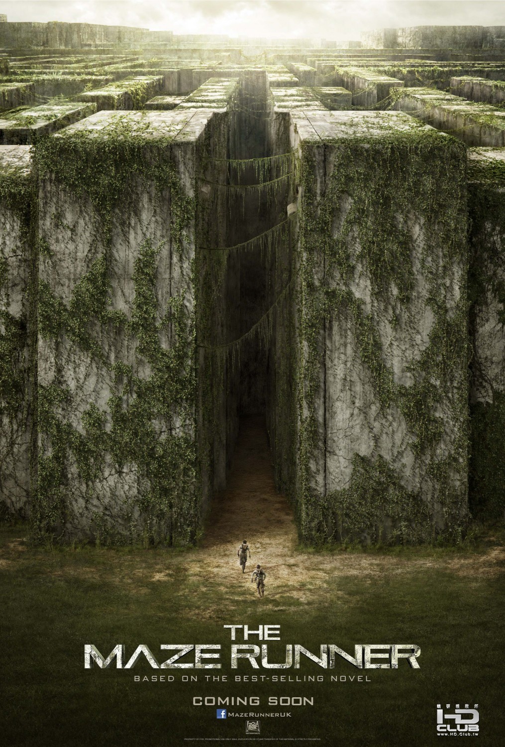 maze_runner_xlg.jpg