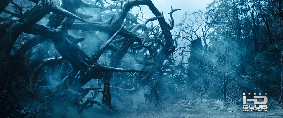 maleficent-forest.jpg