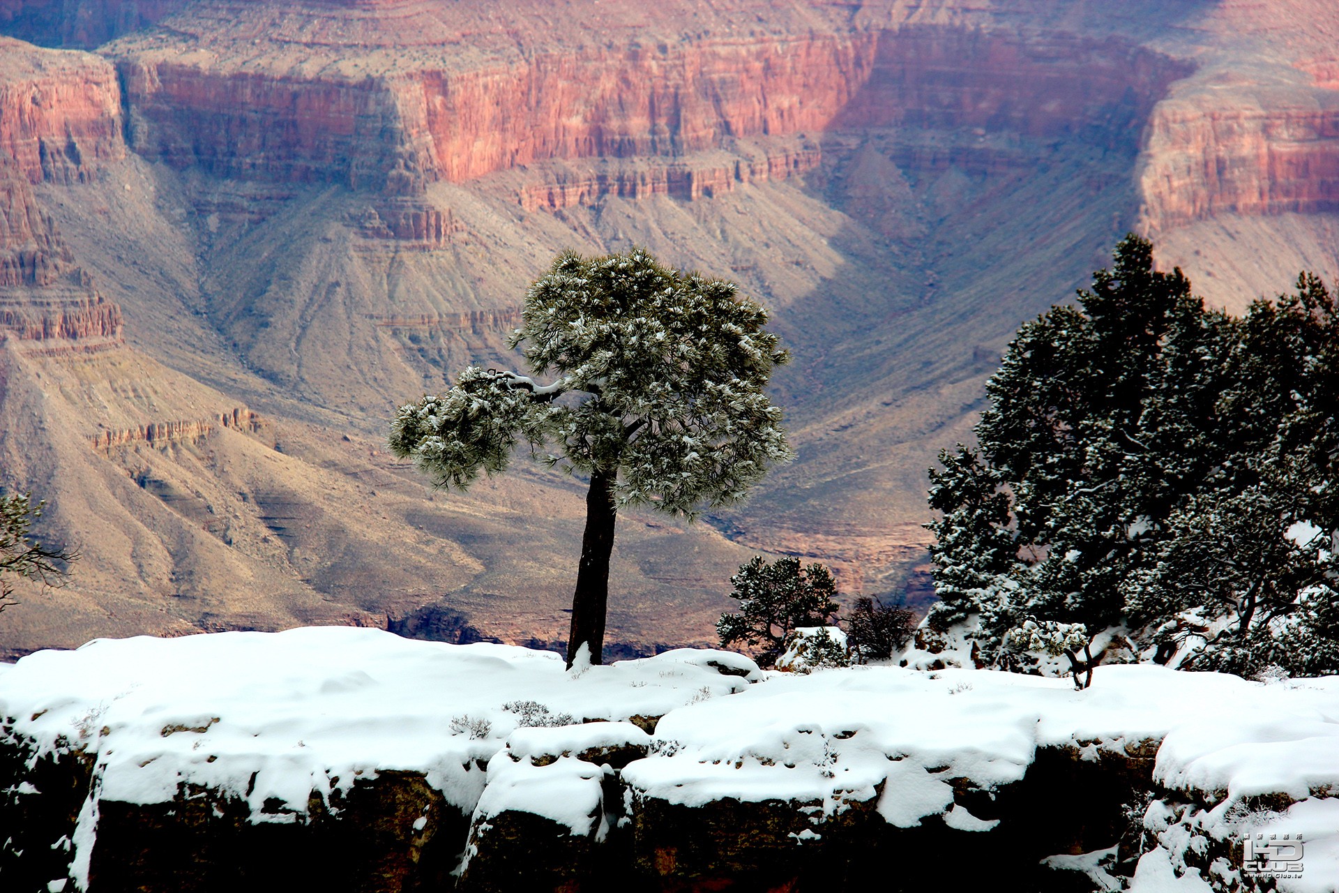 Grand Canyon (2).jpg