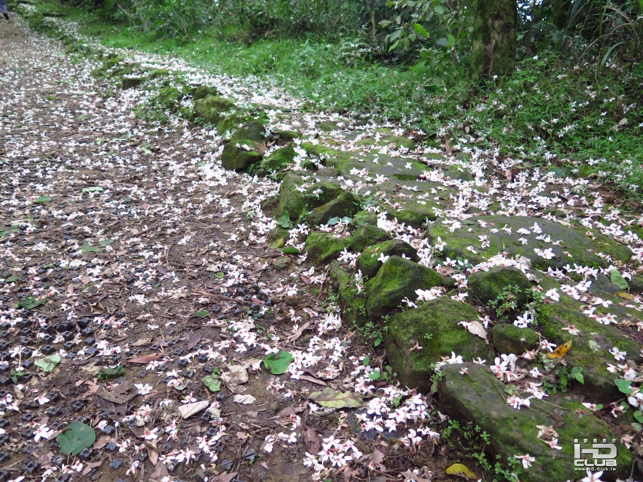 2014_0426_150315.jpg
