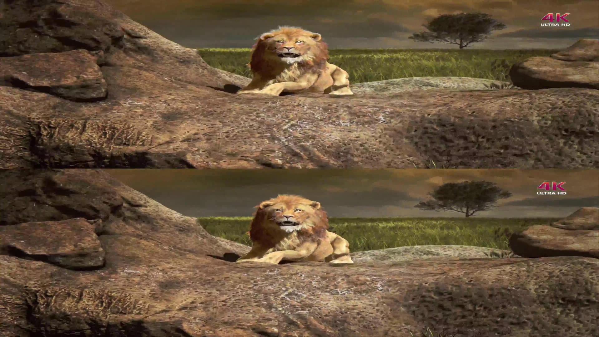 [LK.4K.演示片] 幻想世界Fantasy World（3D）_2014429185057.JPG