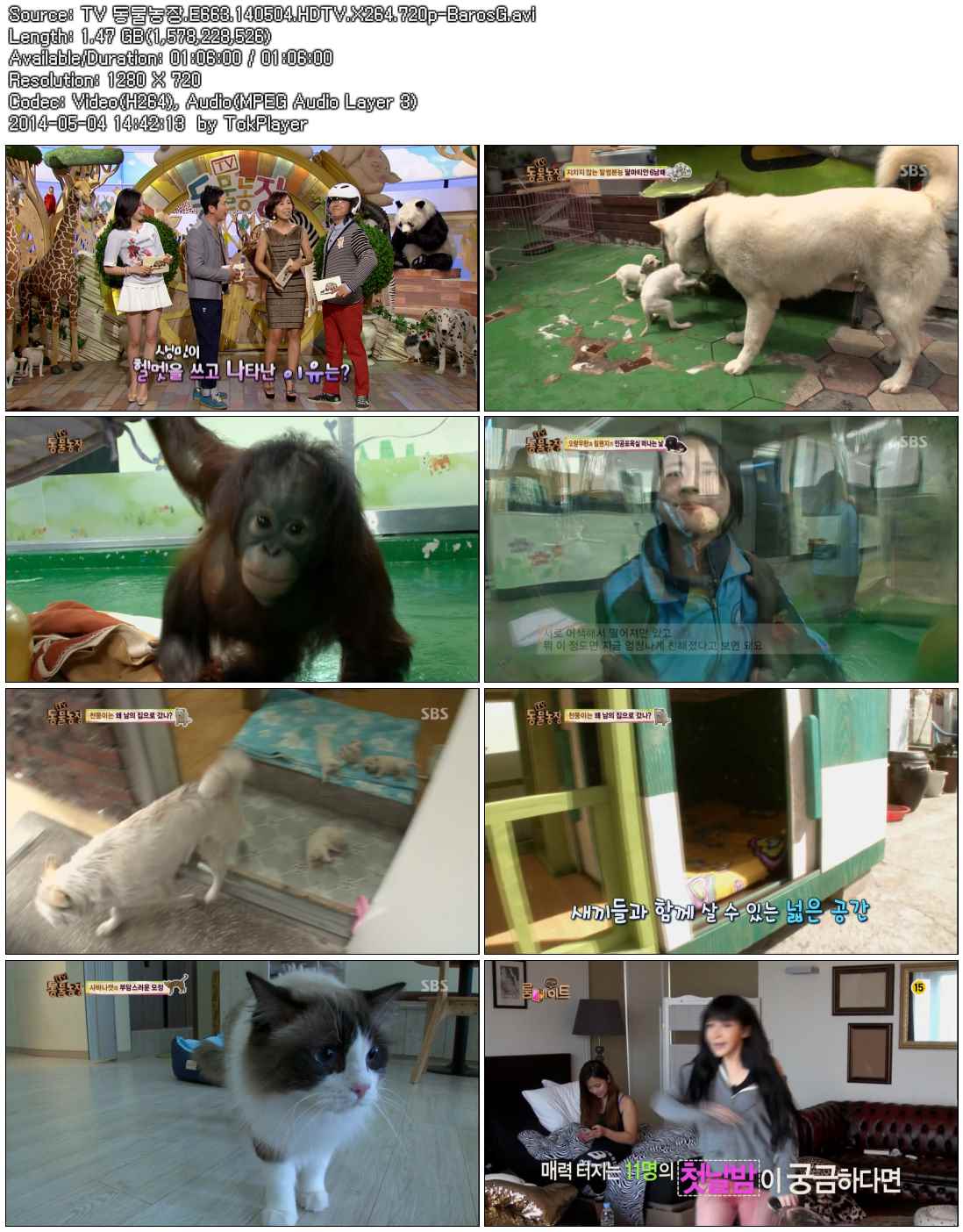 TV 동물농장.E663.140504.HDTV.X264.720p-BarosG.avi.jpg